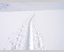 dscn2651.jpg