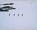 dscn3253.jpg