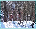 dscn0183.jpg