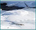 dscn0185.jpg