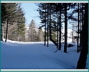 dscn0195.jpg