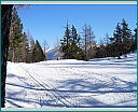 dscn0196.jpg