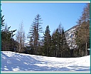 dscn0204.jpg