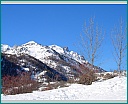 dscn0206.jpg