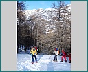 dscn0215.jpg