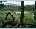 dscn1499.jpg