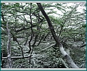 dscn1650.jpg