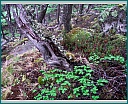 dscn1694.jpg