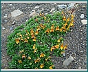dscn1976.jpg