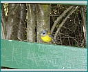 dsc00007.jpg