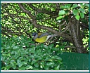 dsc00008.jpg