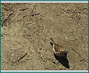 dsc00011.jpg