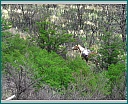 dscn1502.jpg