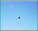 dscn1776.jpg