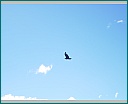 dscn1777.jpg