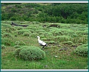dscn2101.jpg