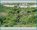 Pour agrandir cliquer sur la vignette kn002010.jpg
