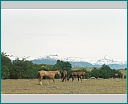Pour agrandir cliquer sur la vignette kn005017.jpg
