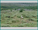 Pour agrandir cliquer sur la vignette kn008002.jpg