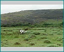 Pour agrandir cliquer sur la vignette kn008006.jpg