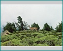 Pour agrandir cliquer sur la vignette kn008024.jpg