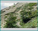 Pour agrandir cliquer sur la vignette kn008025.jpg