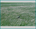 Pour agrandir cliquer sur la vignette kn008028.jpg