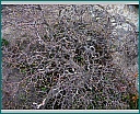 dscn1426.jpg