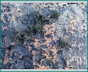 dscn1460.jpg