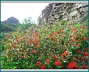 dscn1463.jpg