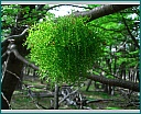 dscn1473.jpg