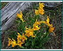 dscn1582.jpg