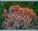 dscn1587.jpg