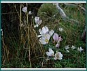 dscn1592.jpg