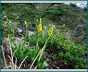 dscn1635.jpg