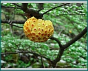 dscn1674.jpg