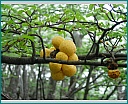 dscn1677.jpg