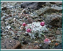 dscn1690.jpg
