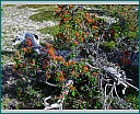 dscn1827.jpg