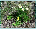 dscn1836.jpg
