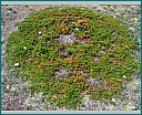 dscn1840.jpg