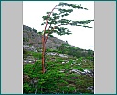 dscn2029.jpg
