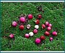 dscn2034.jpg