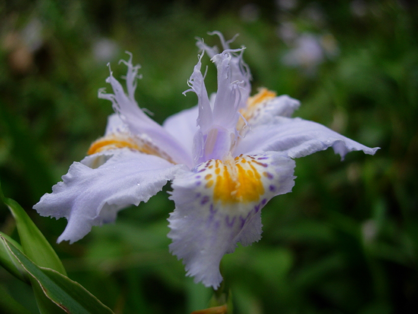 dscn8124.jpg