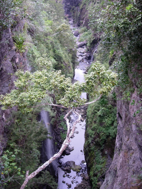 dscn8137.jpg