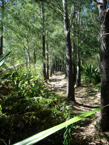 dscn8154.jpg