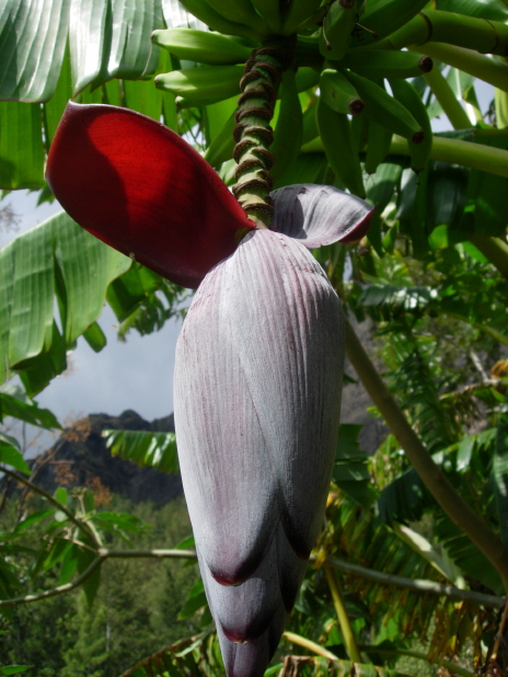 dscn8176.jpg