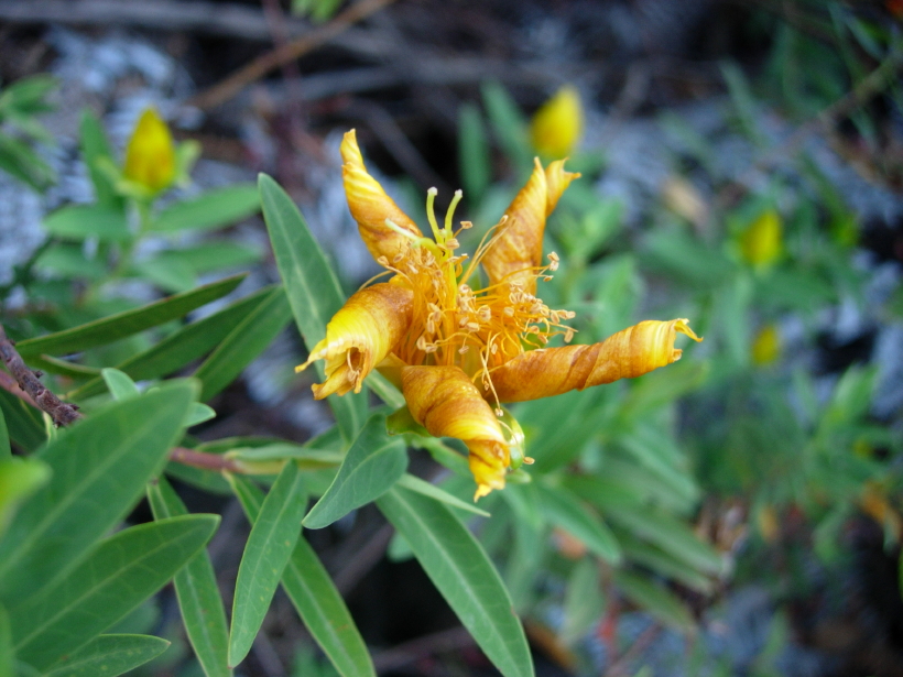 dscn8240.jpg