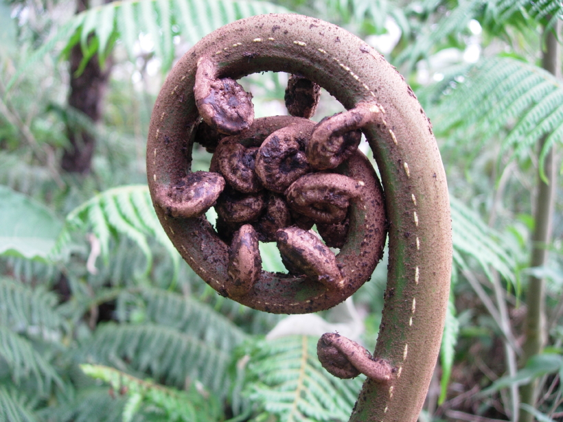dscn8279.jpg