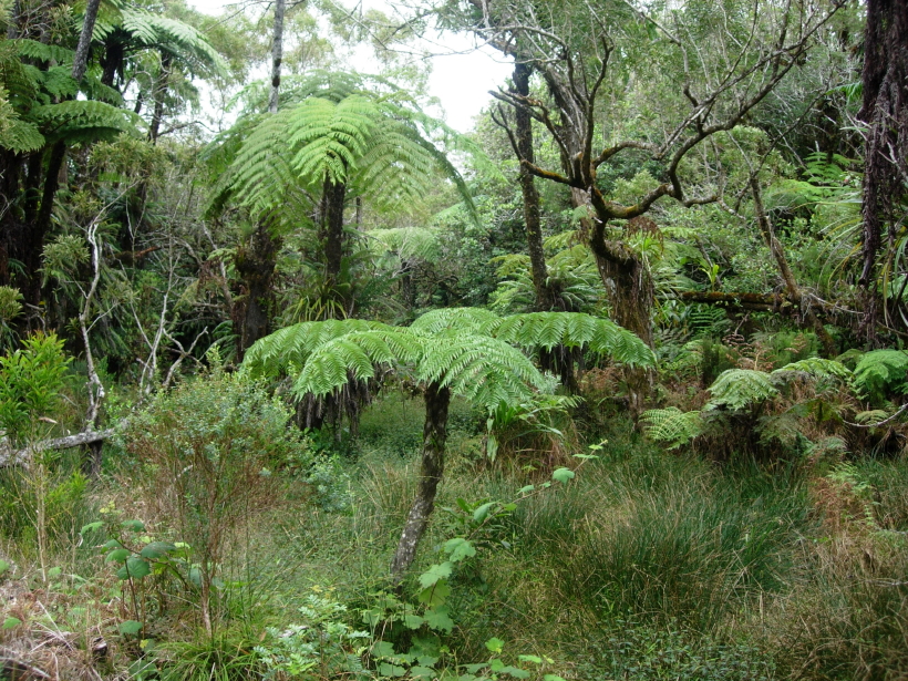 dscn8290.jpg